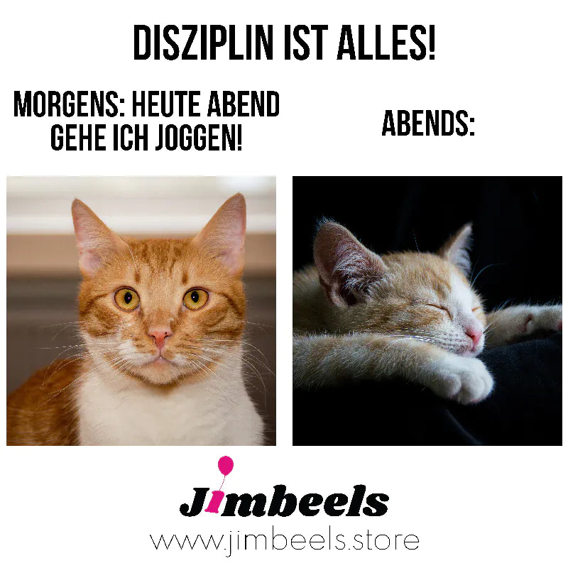 Funny cat jogging meme - laugh with us!