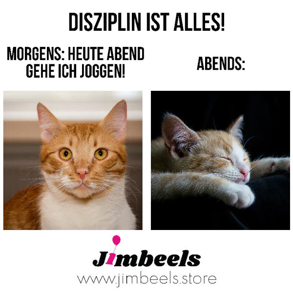 Funny cat jogging meme - laugh with us!