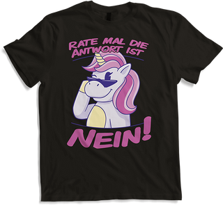Antwort NEIN Einhorn Genervt Teenager Frecher Spruch Mädchen