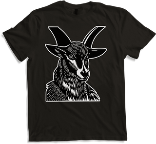 Produktbild von T-Shirt Goat Baphomet Demon Black Metal Luzifer Satan Satanist